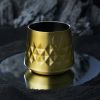 Paragon Stainless Steel Whiskey Taster in Gold ViskiÂ®