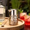 Harrison Double-Walled Mixing Glass in Silver ViskiÂ®