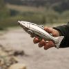 Trout Stainless Steel Flask Foster & Ryeâ„¢
