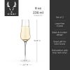 Raye Crystal Angled Champagne Flutes ViskiÂ®