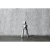 Citrus Juicer in Silver ViskiÂ®