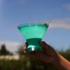 Martini FREEZEâ„¢ in  Aqua (set of 2) by HOSTÂ®