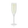 Hardyâ„¢: Acrylic Champagne Glass