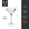 Raye Angled Crystal Martini Glasses ViskiÂ®