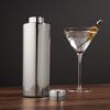 Harrison Element Cocktail Shaker in Silver ViskiÂ®