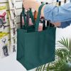 6 Bottle Non Woven Tote In Green by True