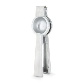 Citrus Juicer in Silver ViskiÂ®