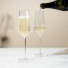 Seneca Crystal Champagne Flutes ViskiÂ®