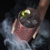 Paragon Stainless Steel Highball Tumbler in Rose ViskiÂ®