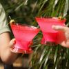 Martini FREEZEâ„¢ in Translucent Punch Pink (set of 2) by HOSTÂ®
