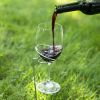 Picnic Stixâ„¢: Wine Glass & Bottle Holders