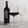 Spiegelau Definition Burgundy Glass (set of 4)