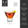 Gem Crystal Martini Glasses by ViskiÂ®