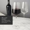 3-Piece Raye Crystal Angled Bordeaux Glass and Decanter Set