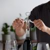 Soarâ„¢: Winged Corkscrew