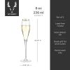 Crystal Gold-Rimmed Champagne Flutes ViskiÂ®
