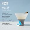 Glass FREEZEâ„¢ Martini Glass (set of two) in Gray by HOSTÂ®