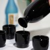 Mogaâ„¢: 5-Piece Sake Set in Black by True
