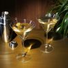 Stemmed Crystal Martini Glasses by ViskiÂ®