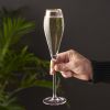 Crystal Gold-Rimmed Champagne Flutes ViskiÂ®