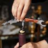 Admiralâ„¢ Double Opener Corkscrew in Stainless Steel ViskiÂ®