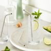 Sippyâ„¢: Stainless Steel Straws