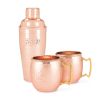 Hammered Copper Bar Set by TwineÂ®