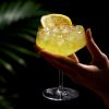 Raye Angled Crystal Coupe Glasses ViskiÂ®