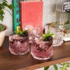 Deco Beau Crystal Lowball Tumblers ViskiÂ®