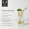 Summit Cocktail Straws in Copper ViskiÂ®