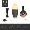 4-Piece Deco Barware Set in Two-Tone ViskiÂ®