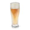 Glacierâ„¢ Double-Walled Chilling Beer Glass by ViskiÂ®