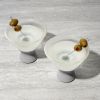 Glass FREEZEâ„¢ Martini Glass (set of two) in Gray by HOSTÂ®