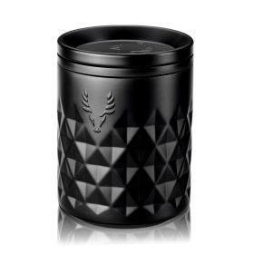 Paragon Stainless Steel Rocks Tumbler in Obsidian ViskiÂ®