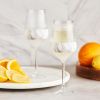 Wine FREEZE Stemmed in Marble (set of 2)  by HOSTÂ®