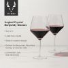Raye Crystal Angled Burgundy Glasses ViskiÂ®