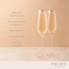 Rose Crystal Champagne Flute Set by TwineÂ®
