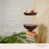 Wine Glass Topper Appetizer Plates by TwineÂ®